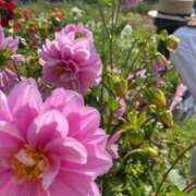 ヒメ日記 2025/09/14 09:03 投稿 ひびき Evolution 2nd