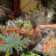 ヒメ日記 2025/09/19 07:03 投稿 ひびき Evolution 2nd