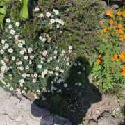 ヒメ日記 2025/10/13 13:22 投稿 ひびき Evolution 2nd