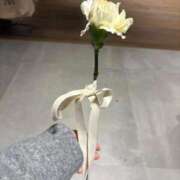 ヒメ日記 2025/10/30 21:27 投稿 ひびき Evolution 2nd