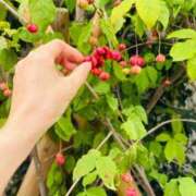 ヒメ日記 2025/11/23 07:22 投稿 ひびき Evolution 2nd