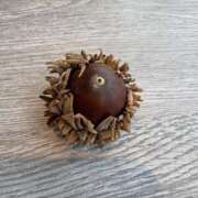 ヒメ日記 2025/12/07 14:02 投稿 ひびき Evolution 2nd