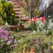 ヒメ日記 2025/12/11 11:12 投稿 ひびき Evolution 2nd