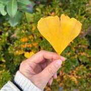 ヒメ日記 2025/12/14 09:52 投稿 ひびき Evolution 2nd