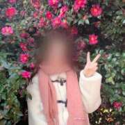 ヒメ日記 2026/01/06 22:32 投稿 ひびき Evolution 2nd