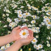 ひびき 本日のお礼 Evolution 2nd