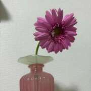 ヒメ日記 2026/02/19 09:48 投稿 ひびき Evolution 2nd