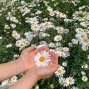 ヒメ日記 2026/03/01 23:15 投稿 ひびき Evolution 2nd