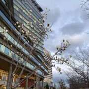 ヒメ日記 2026/03/04 18:22 投稿 ひびき Evolution 2nd