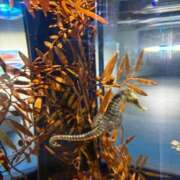 ヒメ日記 2026/03/09 21:48 投稿 ひびき Evolution 2nd