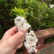 ヒメ日記 2026/03/26 00:13 投稿 ひびき Evolution 2nd