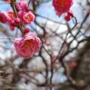 ヒメ日記 2026/03/29 00:12 投稿 ひびき Evolution 2nd