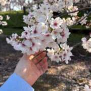 ヒメ日記 2026/04/16 22:12 投稿 ひびき Evolution 2nd