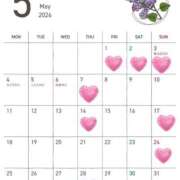 ヒメ日記 2026/04/23 08:18 投稿 ひびき Evolution 2nd