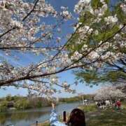 ひびき 〜ご予約空き状況〜 Evolution 2nd