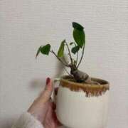 ひびき どうしたものか… Evolution 2nd