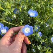 ヒメ日記 2026/05/01 08:12 投稿 ひびき Evolution 2nd