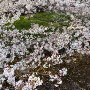 ヒメ日記 2026/05/03 09:33 投稿 ひびき Evolution 2nd
