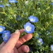 ヒメ日記 2026/05/14 22:52 投稿 ひびき Evolution 2nd