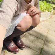 ヒメ日記 2026/07/14 11:42 投稿 ひびき Evolution 2nd