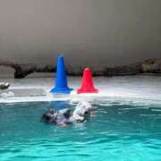 ヒメ日記 2026/08/11 14:22 投稿 ひびき Evolution 2nd