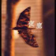 ヒメ日記 2026/08/13 07:02 投稿 ひびき Evolution 2nd
