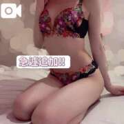 ヒメ日記 2024/12/28 16:59 投稿 さつき FORTE