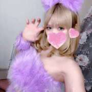 ヒメ日記 2025/02/18 13:26 投稿 レイラ C.C.CATS