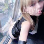 ヒメ日記 2025/04/29 08:46 投稿 レイラ C.C.CATS