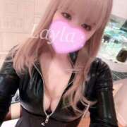 ヒメ日記 2025/05/07 00:47 投稿 レイラ C.C.CATS