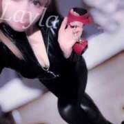 ヒメ日記 2025/09/05 12:41 投稿 レイラ C.C.CATS