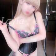 ヒメ日記 2025/10/20 12:02 投稿 レイラ C.C.CATS