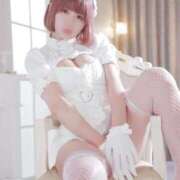 ヒメ日記 2025/10/31 22:02 投稿 レイラ C.C.CATS