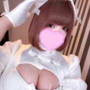 ヒメ日記 2025/11/01 12:42 投稿 レイラ C.C.CATS