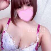 ヒメ日記 2025/11/12 16:02 投稿 レイラ C.C.CATS