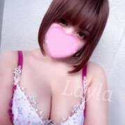 ヒメ日記 2025/11/29 01:22 投稿 レイラ C.C.CATS