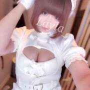 ヒメ日記 2025/11/29 14:42 投稿 レイラ C.C.CATS