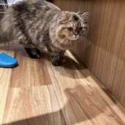 ヒメ日記 2025/08/11 12:34 投稿 MINA Salvador (サルバドール)