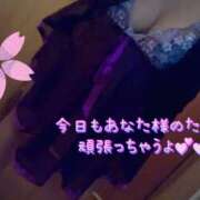 ヒメ日記 2025/09/20 15:26 投稿 MINA Salvador (サルバドール)