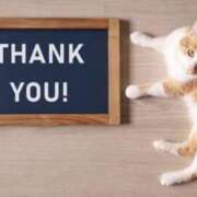 ヒロ★敏感Mなキレイ系奥様 出会ってくれてありがとう♡ BITEKI