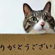 ヒメ日記 2025/12/24 18:23 投稿 ヒロ★敏感Mなキレイ系奥様 BITEKI