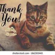 ヒメ日記 2026/02/16 17:50 投稿 ヒロ★敏感Mなキレイ系奥様 BITEKI