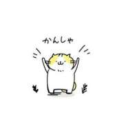 ヒメ日記 2026/02/17 20:50 投稿 ヒロ★敏感Mなキレイ系奥様 BITEKI