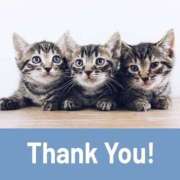 ヒメ日記 2026/02/26 20:05 投稿 ヒロ★敏感Mなキレイ系奥様 BITEKI