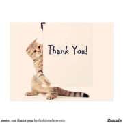 ヒメ日記 2026/03/31 19:34 投稿 ヒロ★敏感Mなキレイ系奥様 BITEKI