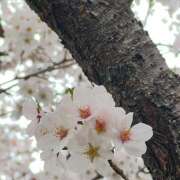 ヒメ日記 2025/03/18 12:34 投稿 もも 大塚 虹いろ回春