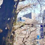 ヒメ日記 2025/04/05 18:30 投稿 もも 大塚 虹いろ回春