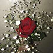 ヒメ日記 2025/02/06 20:31 投稿 るた 五反田サンキュー