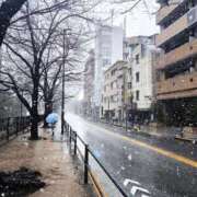 ヒメ日記 2025/03/21 03:24 投稿 さき 人妻倶楽部 内緒の関係 大宮店