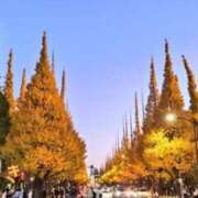 ヒメ日記 2024/12/17 15:35 投稿 さき 人妻倶楽部内緒の関係 春日部店